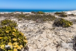 Grootrif, Lamberts Bay, South-Africa