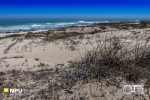 Grootrif, Lamberts Bay, South-Africa