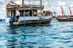 Dhow Charters, Stone Town Harbour, Zanzibar, Tanzania