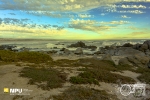 Tsaarsbank, West Coast National Park, South-Africa