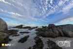 Tsaarsbank, West Coast National Park, South-Africa