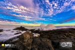 Tsaarsbank, West Coast National Park, South-Africa