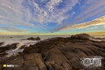 Tsaarsbank, West Coast National Park, South-Africa