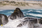 Tsaarsbank, West Coast National Park, South-Africa