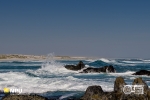 Tsaarsbank, West Coast National Park, South-Africa