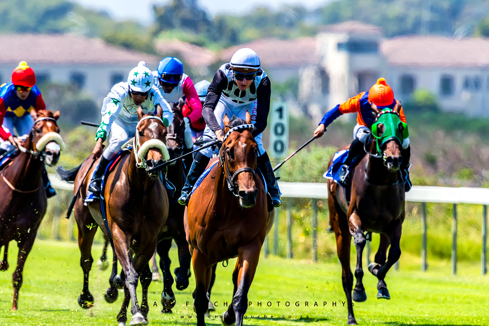 Race 3 1200m Fillies, Kenilworth Racecourse, Cape Town, South-Africa