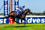 Race 4 1200m Fillies, Kenilworth Racecourse, Cape Town, South-Africa