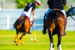 Polo Practice, Val de Vie, Paarl, South-Africa