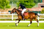 Polo Practice, Val de Vie, Paarl, South-Africa