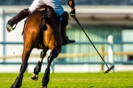 Polo Practice, Val de Vie, Paarl, South-Africa