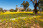 Nieuwoudtville Town, South-Africa