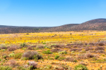 Loeriesfontein, South-Africa