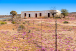 Nieuwoudtville Surrounds, South-Africa Nieuwoudtville Surrounds, South-Africa