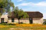 Nieuwoudtville Surrounds, Willemsrivier, South-Africa