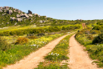 West Coast National Park, South-Africa