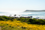 West Coast National Park, South-Africa