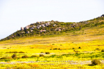 West Coast National Park, South-Africa