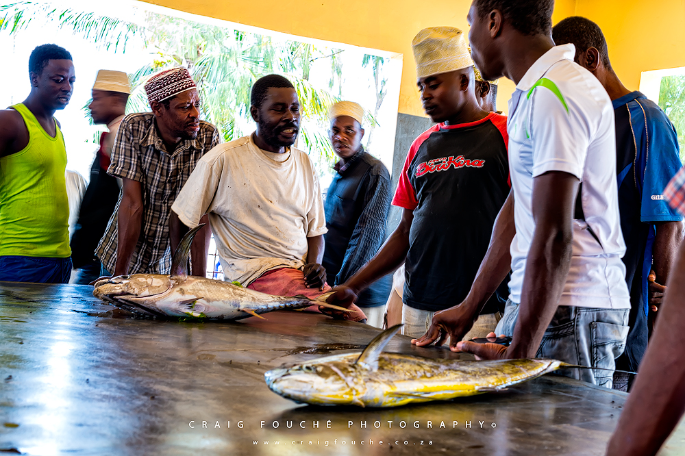 Fish Auction, Nungwi, Zanzibar, Tanzania