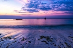 Magenta Skies, Nungwi, Zanzibar, Tanzania