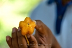 Star Fruit, Zanzibar, Tanzania