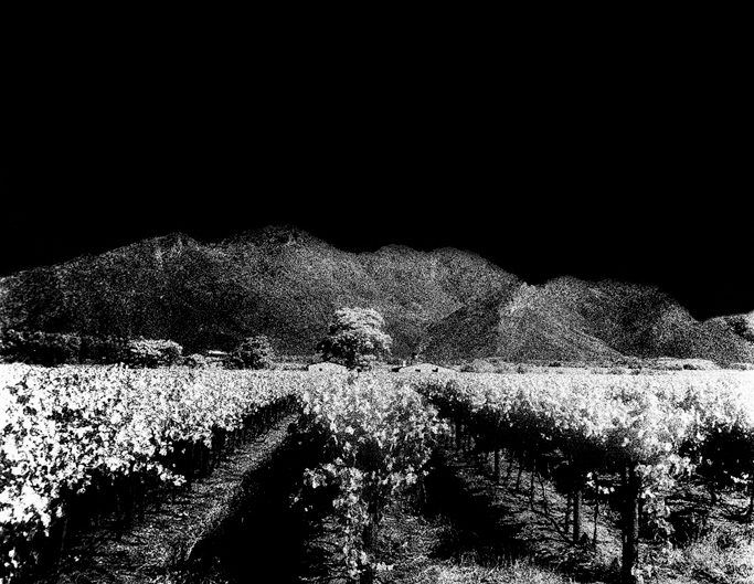 Nikon F6, Kodak HIE 400, Infrared