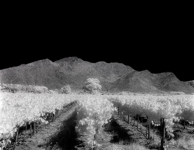 Nikon F6, Kodak HIE 400, Infrared