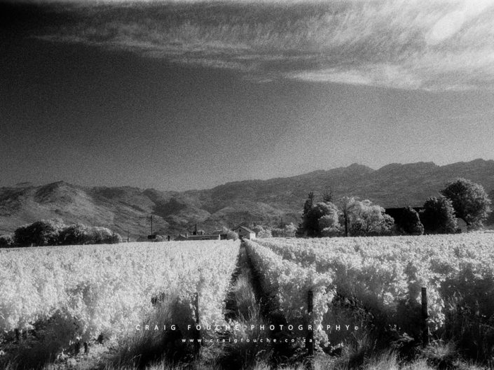 Nikon F6, Kodak HIE 400, Infrared