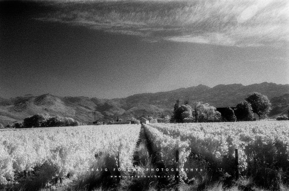 Film Photography – Kodak Professional HIE Infrared Film