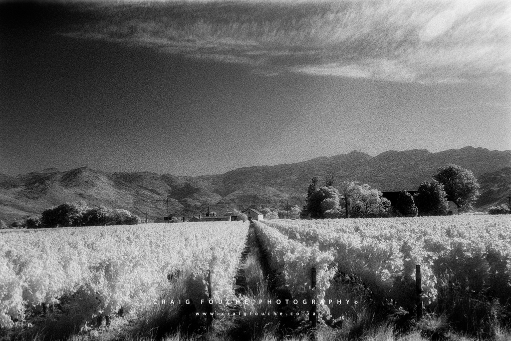 Film Photography - Kodak Professional HIE Infrared Film - Craig