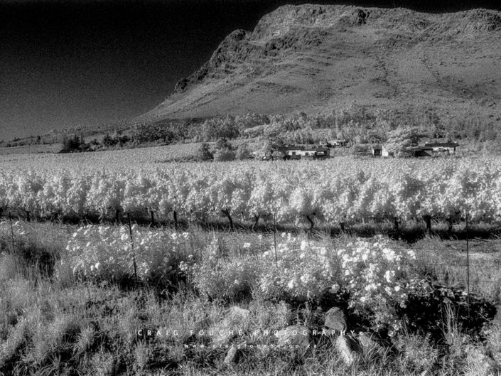 Nikon F6, Kodak HIE 400, Infrared