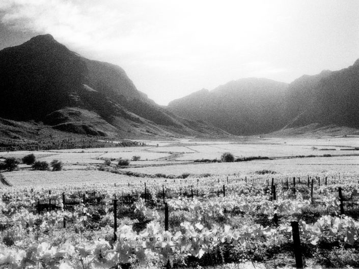 Nikon F6, Kodak HIE 400, Infrared