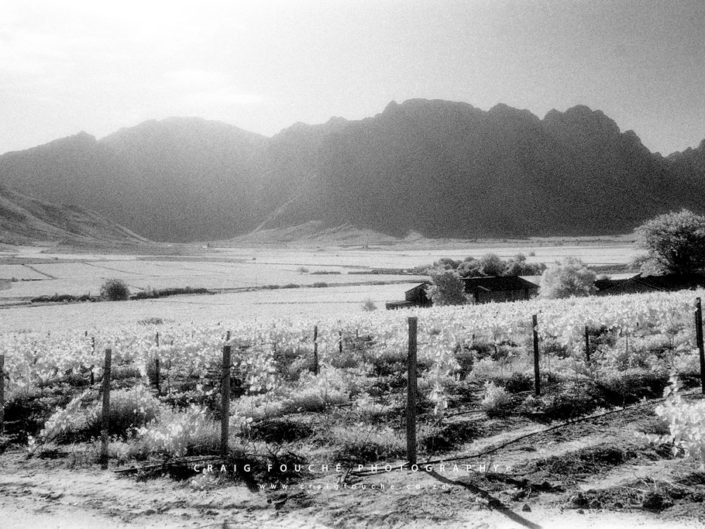 Nikon F6, Kodak HIE 400, Infrared