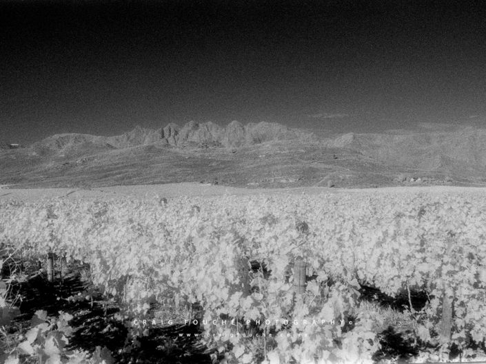 Nikon F6, Kodak HIE 400, Infrared