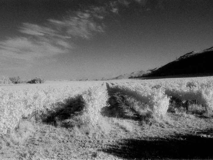 Nikon F6, Kodak HIE 400, Infrared
