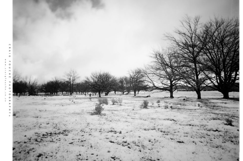 Film Photography – Large Format In The Snow